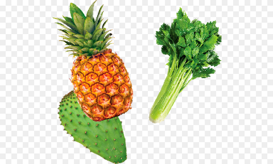 Apio Y Nopal Pineapple Full Size 4k Pineapple, Food, Fruit, Plant, Produce Png Image