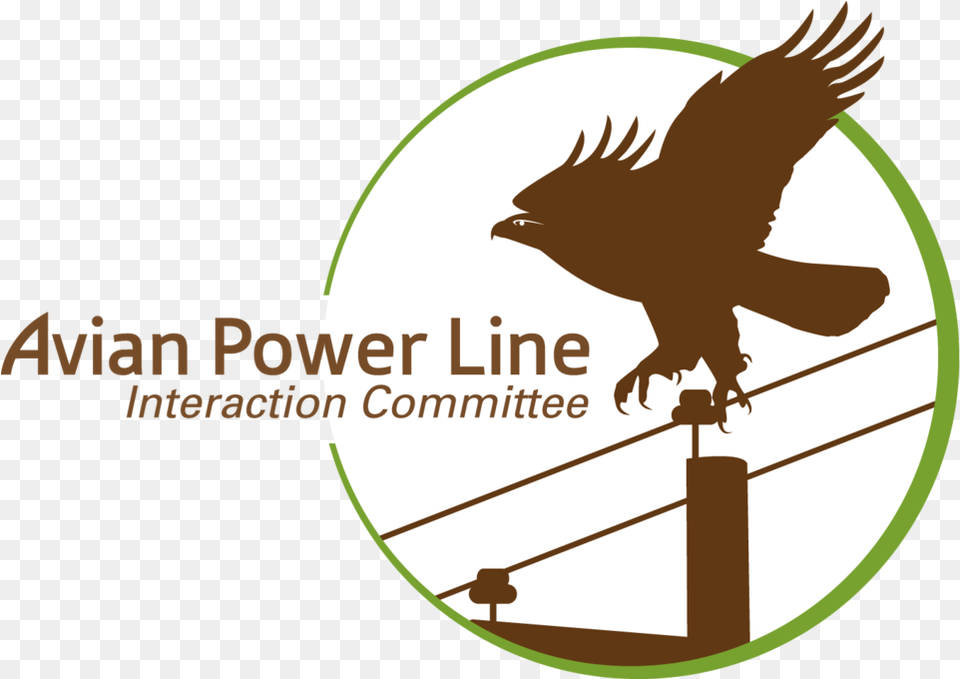 Aplic 4clogo Avian Power Line Interaction Committee, Animal, Bird, Blackbird, Kite Bird Free Png Download