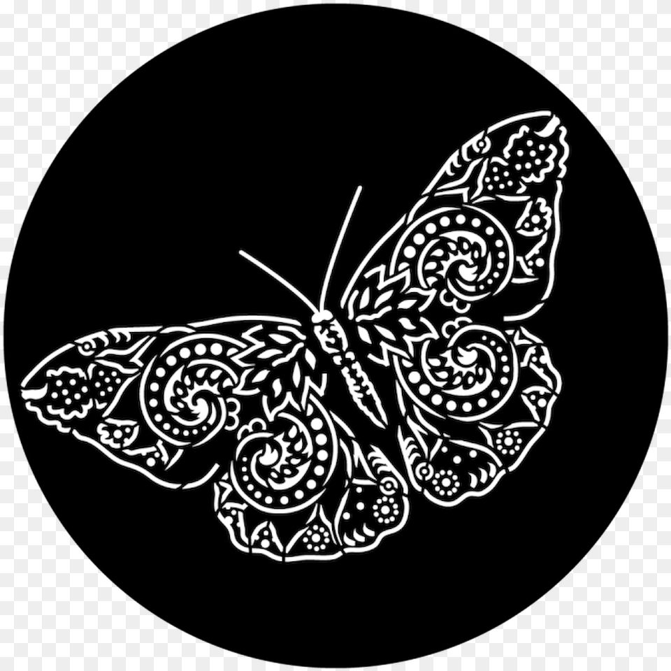 Apollo Design 9056 Paisley Wings Steel Pattern, Art, Stencil, Animal, Insect Free Transparent Png