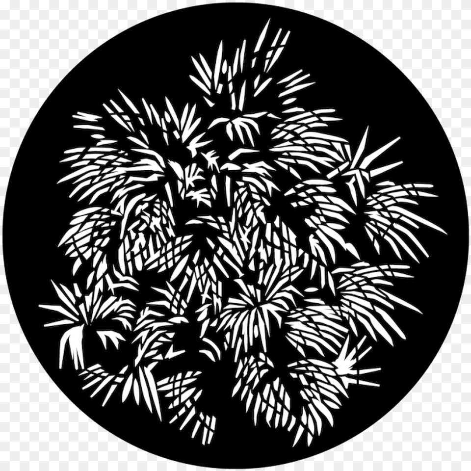 Apollo Design 9057 Palms Of Glory Steel Pattern Circle, Fireworks, Plant, Art, Drawing Png