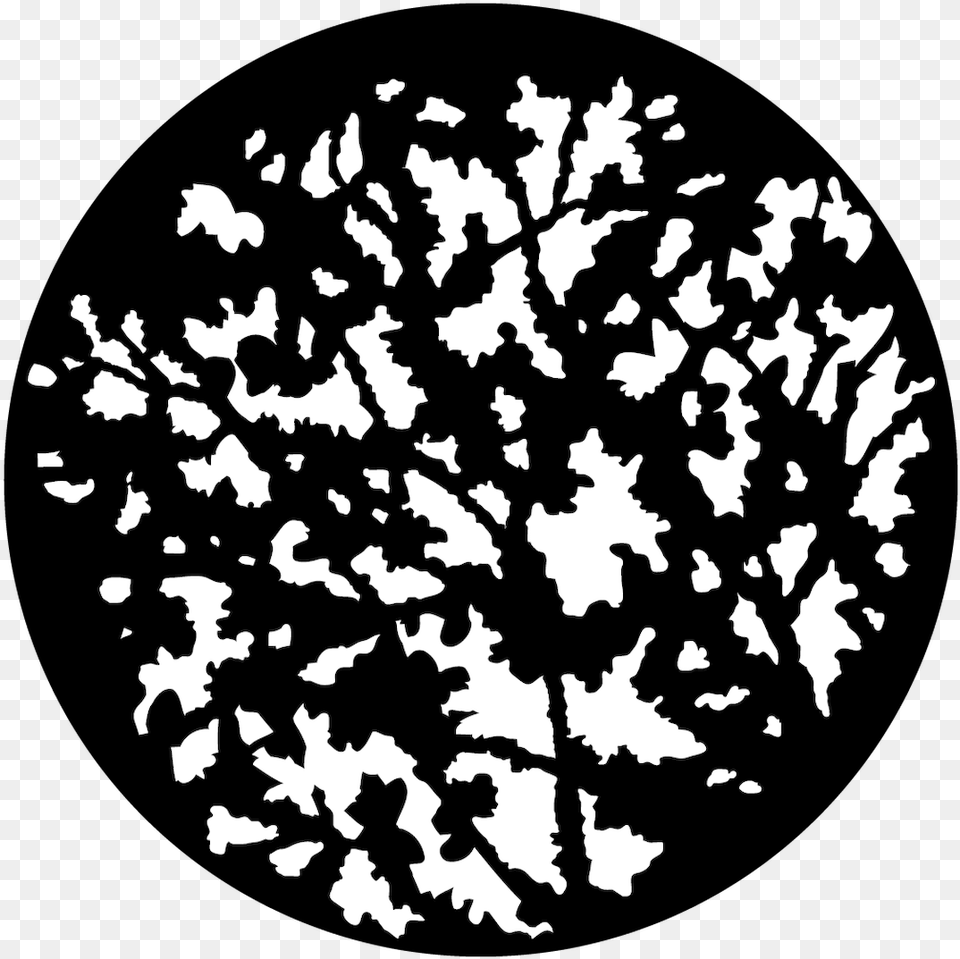 Apollo Design 9075 Jagged Foliage Steel Pattern Circle, Leaf, Plant, Stencil, Tree Free Transparent Png