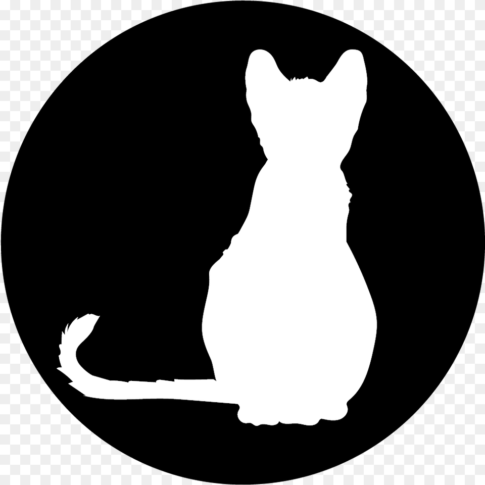 Apollo Design Me 9109 Cat Silhouette Steel Pattern Cat, Stencil, Animal, Mammal, Pet Png Image