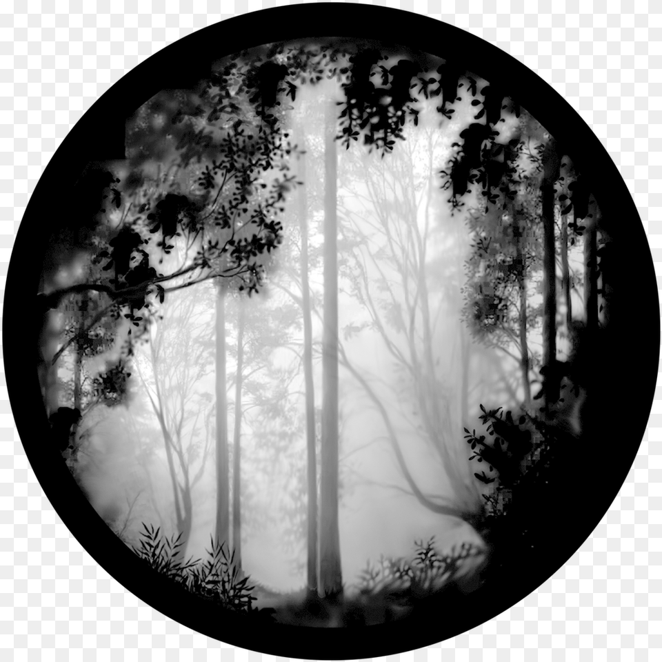 Apollo Forest Misty Black And White Scenery, Fog, Mist, Nature, Outdoors Free Png Download