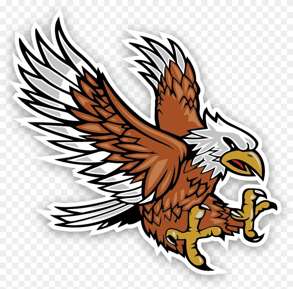 Apollo Middle School Emblem Red Tailed Hawk, Electronics, Hardware, Animal, Bird Free Transparent Png