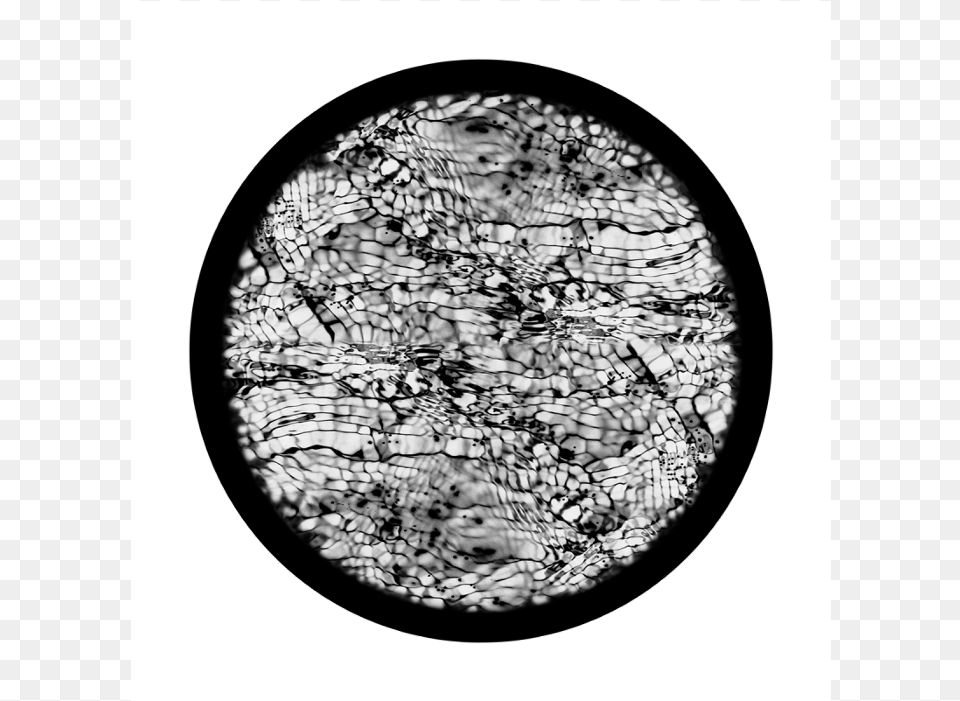 Apollo Superres Glass Gobo 0078 Snake Skin Circle, Sphere, Ct Scan Png Image