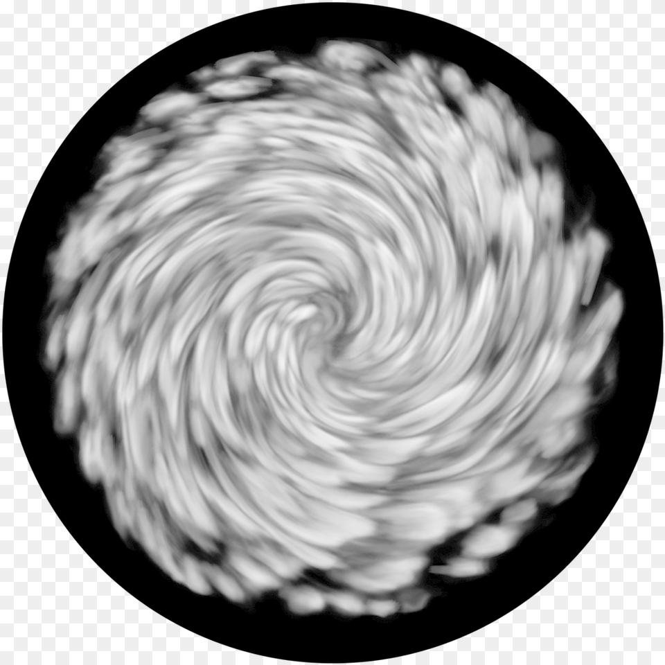 Apollo Swirl Sr 0019 Circle, Spiral, Sphere, Pet, Mammal Free Png Download
