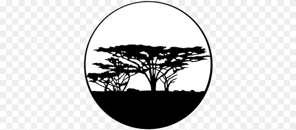 Apollo Trees Africa Me4117 Silhouette, Field, Grassland, Nature, Outdoors Free Png Download