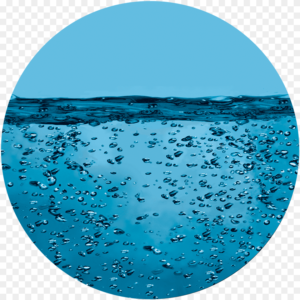 Apollo Underwater Water Drops Crows And Bare Trees In Winter, Sphere, Window, Photography Free Png