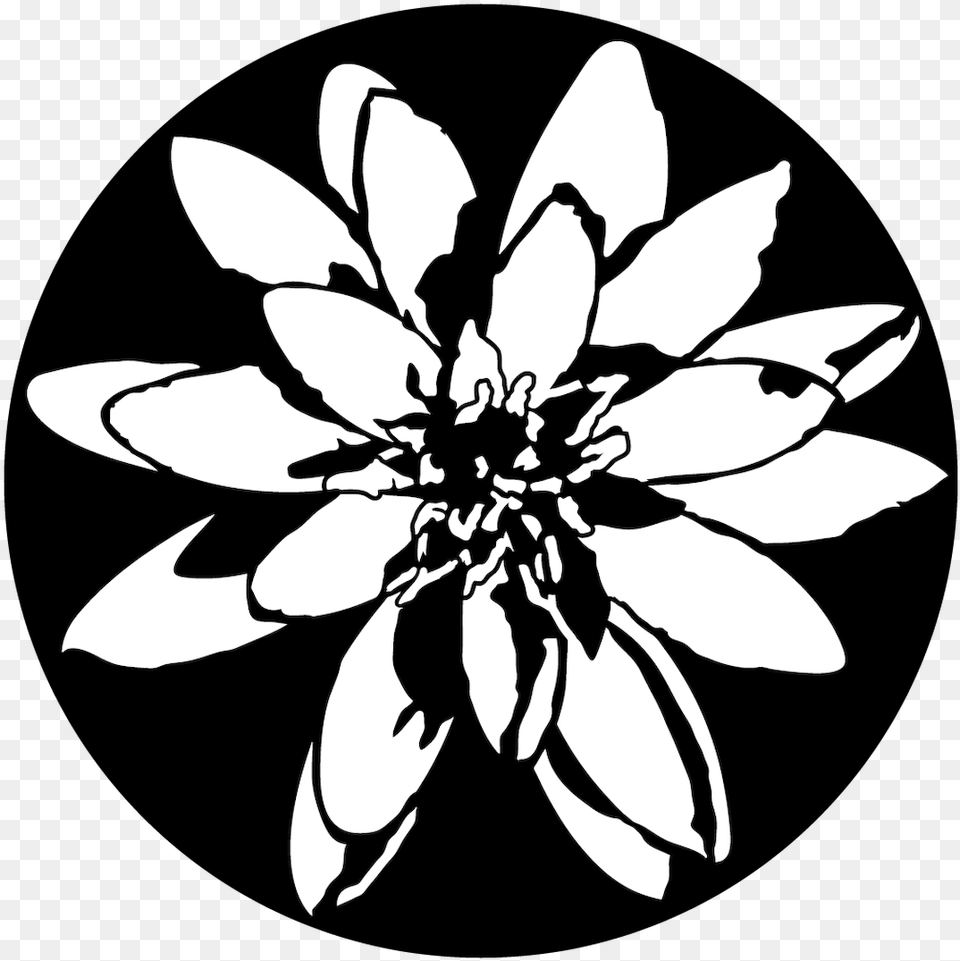 Apollo Water Lily Me1166 Illustration, Stencil, Flower, Plant Png Image