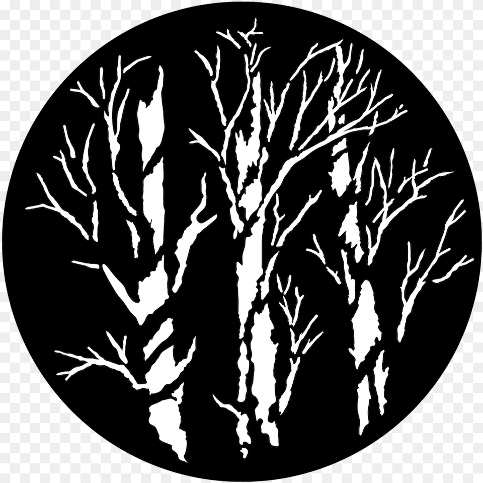 Apollo Winter Trees Apollo Winter Trees Gobo, Silhouette, Stencil, Art, Drawing Free Transparent Png