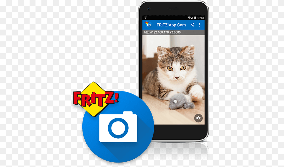 App Cam Service, Animal, Cat, Mammal, Pet Png