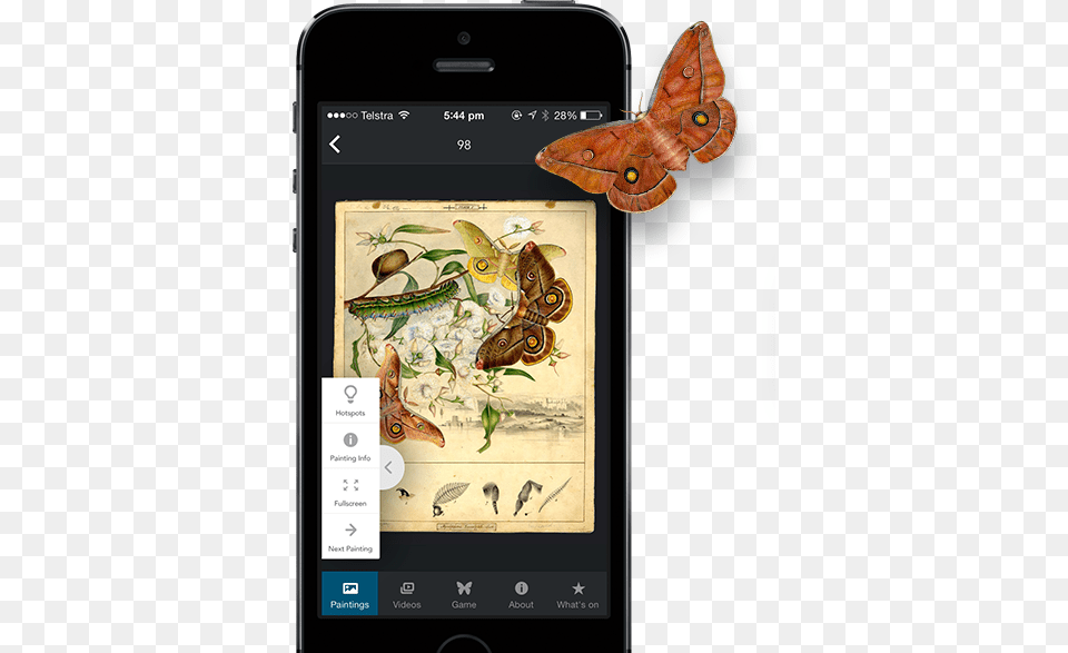 App Features Emperor Moth Opodiphthera Eucalypti, Electronics, Phone, Mobile Phone, Animal Free Transparent Png