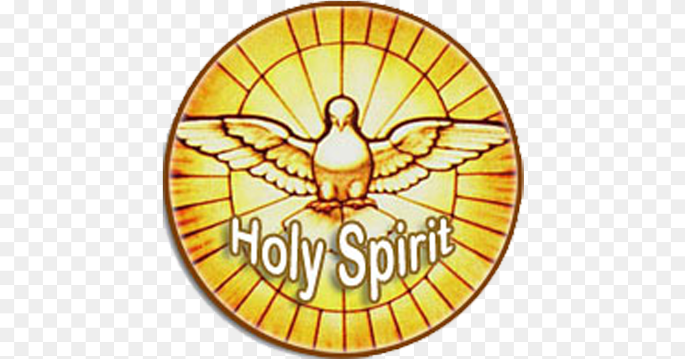 App Insights Holy Spirit Youtube Videos From Bible All In Holy Spirit Dove, Gold Free Png Download