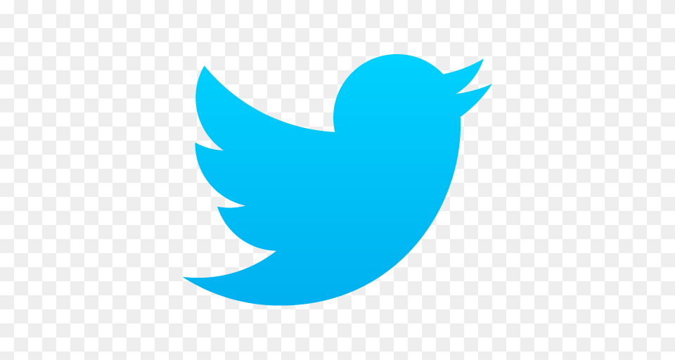 App Twitter Minimalism Icons Icone Twitter Gif, Logo, Animal, Fish, Sea Life Free Transparent Png