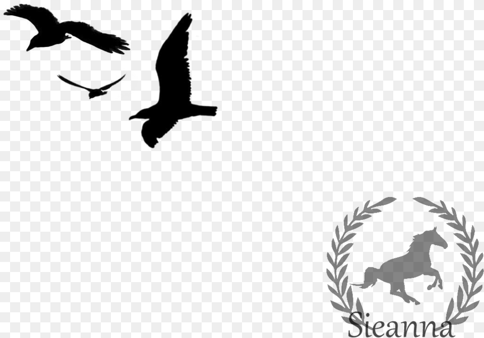 Appealing Birds Flying Clip Art Shadowhunters Quotes Jace To Love Is To Destroy Free Png