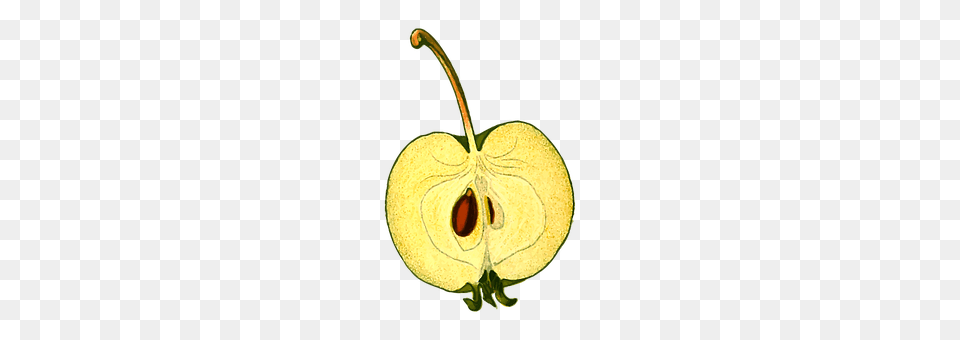 Apple Food, Fruit, Plant, Produce Free Png