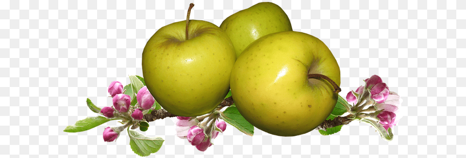 Apple, Food, Fruit, Plant, Produce Free Png