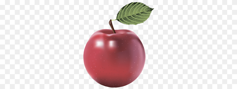 Apple, Food, Fruit, Plant, Produce Free Transparent Png