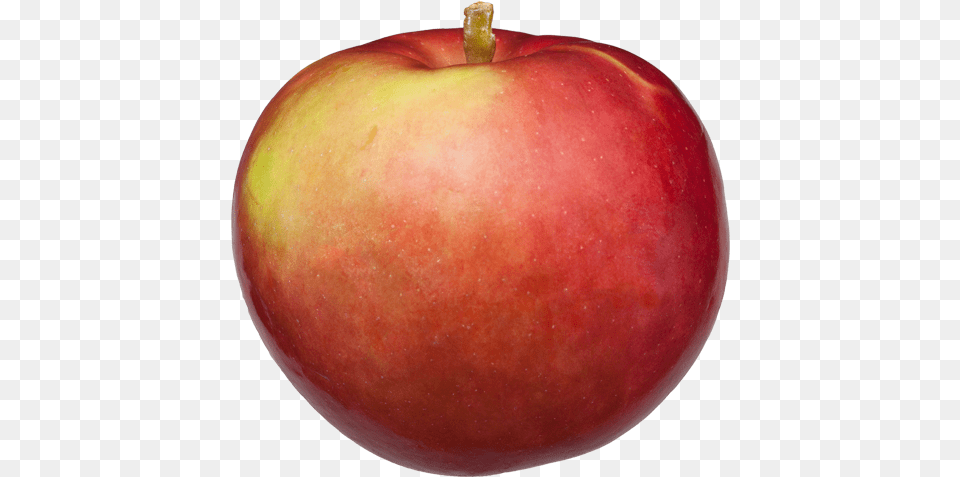 Apple, Food, Fruit, Plant, Produce Free Png Download