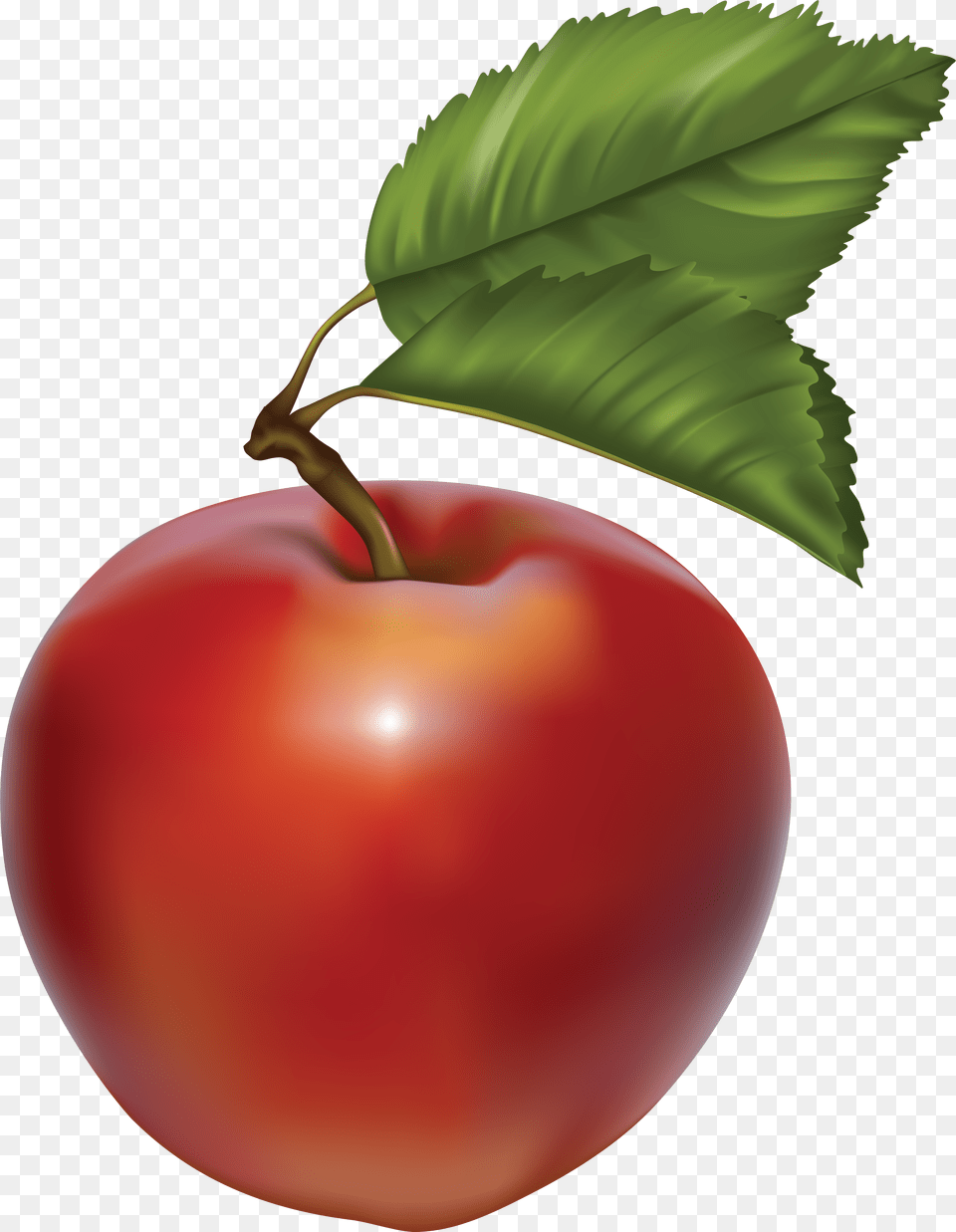 Apple, Food, Fruit, Plant, Produce Free Png Download