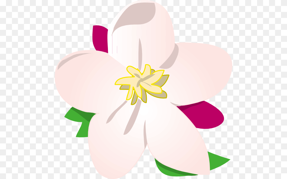 Apple Blossom Clip Art, Anther, Plant, Flower, Petal Free Png Download