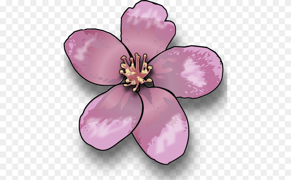 Apple Blossom Clip Art, Flower, Petal, Plant, Anther Png Image