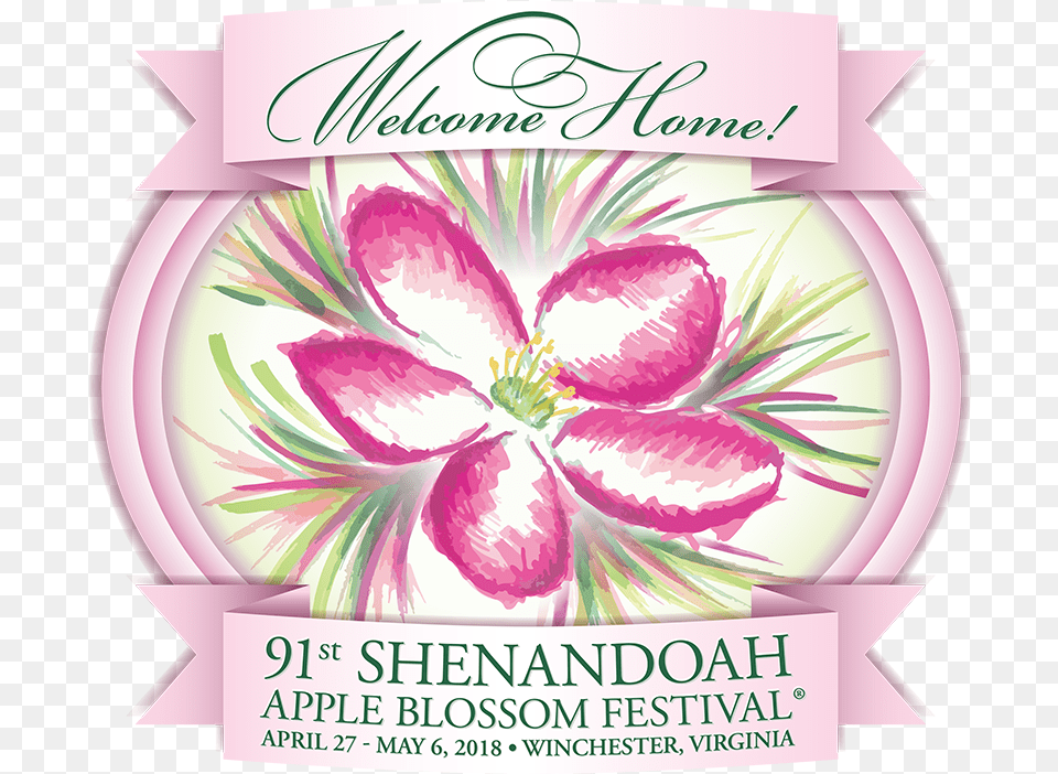 Apple Blossom Festival 2018 Image Clematis, Flower, Petal, Plant, Art Free Png