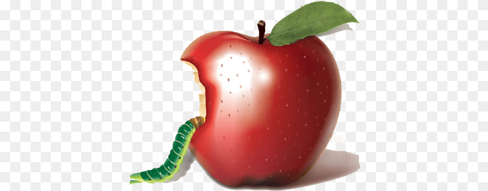 Apple Bobbing Biting Auglis Apple Insect, Food, Fruit, Plant, Produce Png