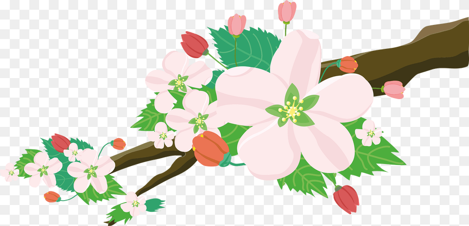 Apple Clipart, Flower, Plant, Cherry Blossom, Art Free Png