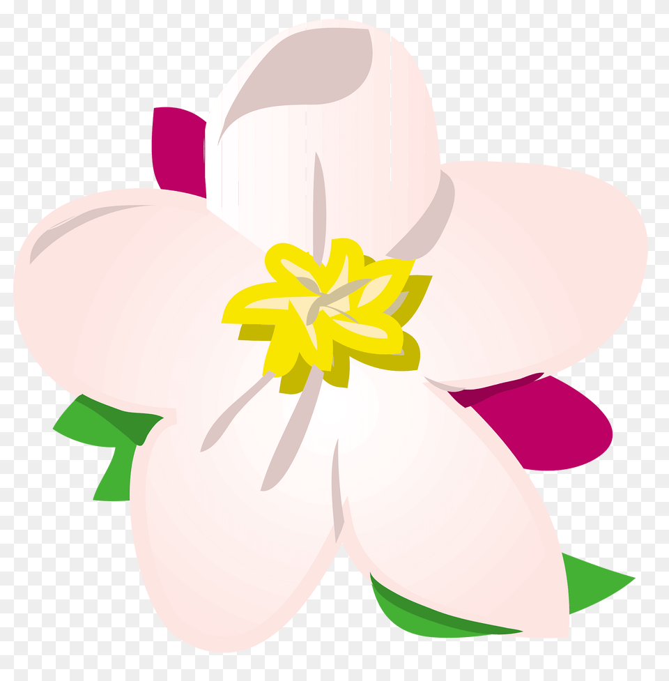 Apple Clipart, Flower, Plant, Anther, Dahlia Free Transparent Png