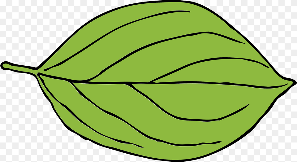 Apple Clipart, Leaf, Plant, Food, Fruit Png