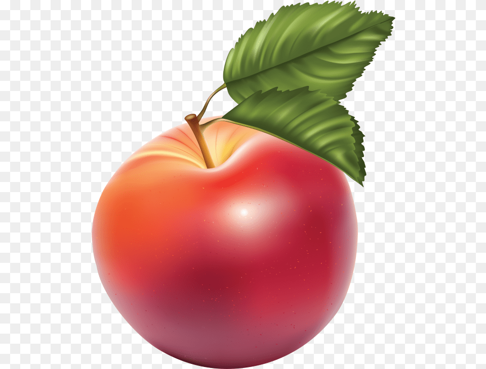 Apple Drawn Using Photoshop Images Download Imagenes De Manzanas, Food, Fruit, Plant, Produce Png