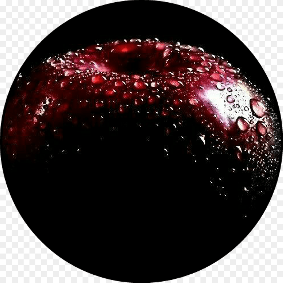 Apple Fondo Boceto Etiqueta Wattpadcover Sphere, Food, Fruit, Plant, Produce Free Png