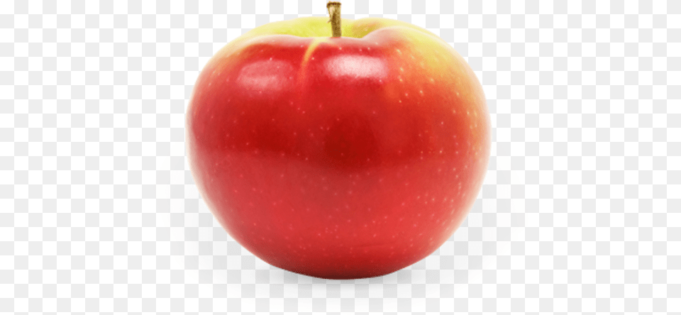 Apple Fruit, Food, Plant, Produce Free Png