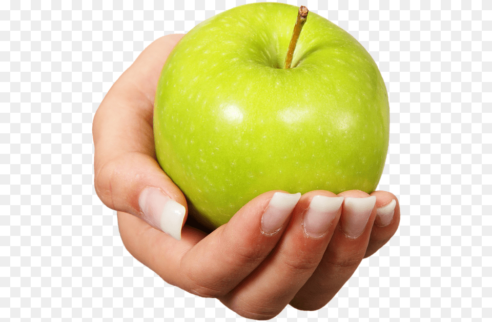 Apple Fruit Healthy Hand Offer Grannysmith Apple In Hand, Food, Plant, Produce Png