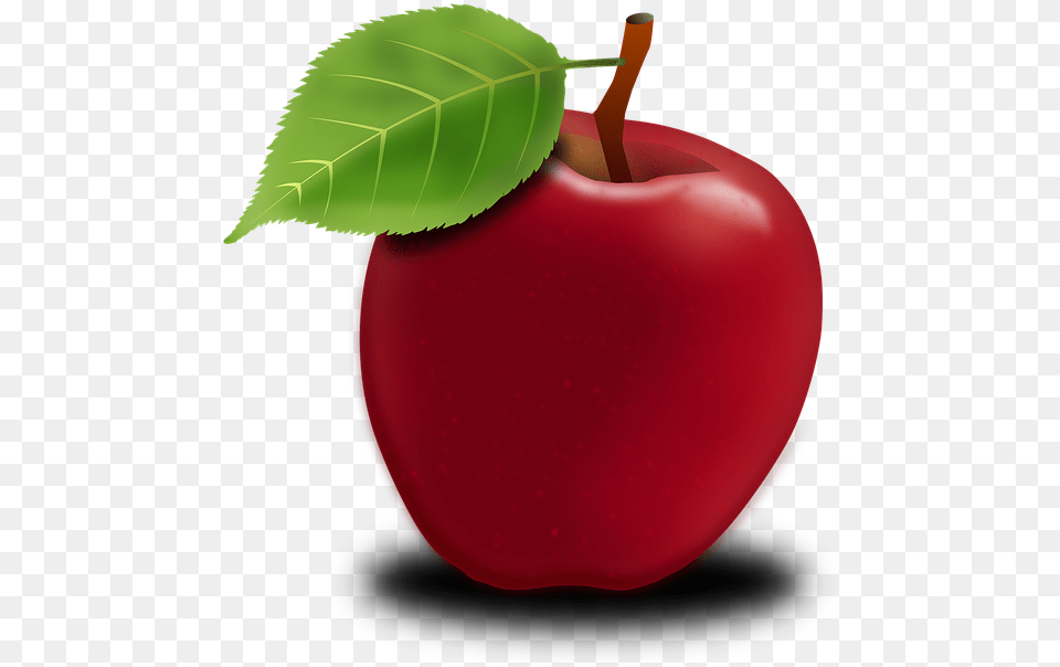Apple Fruit Information In English, Food, Plant, Produce, Ketchup Png