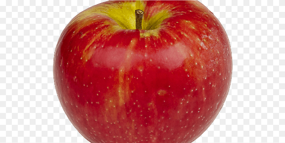 Apple Fruit Transparent Best Shampoo For Dry Hair In Pakistan, Food, Plant, Produce Png