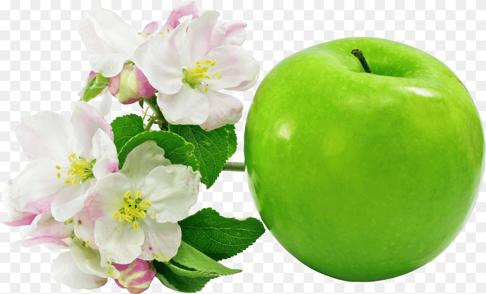 Apple Green Flowers, Food, Fruit, Plant, Produce Png Image