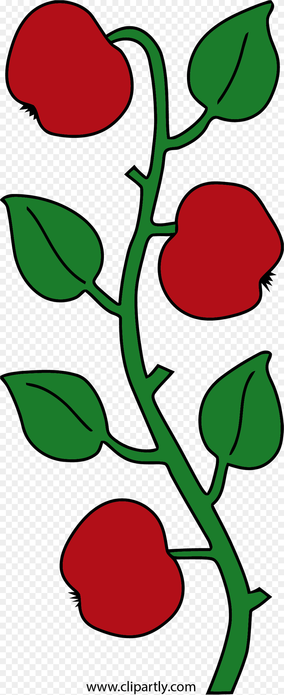 Apple Green Leaf Clipart Affoltern Am Albis, Rose, Flower, Plant, Food Free Transparent Png
