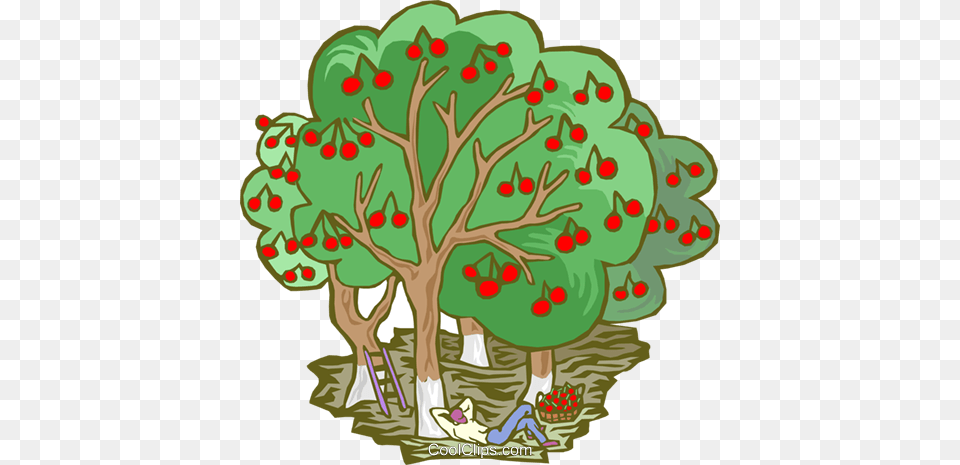 Apple Harvest Royalty Vector Clip Art Illustration, Vegetation, Plant, Tree, Graphics Png