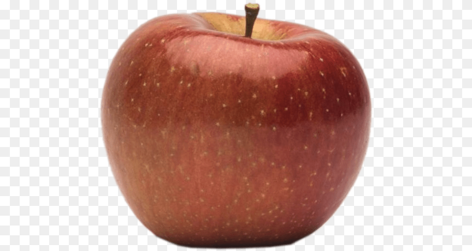 Apple Holler Evercrisp Apple Mcintosh, Food, Fruit, Plant, Produce Png
