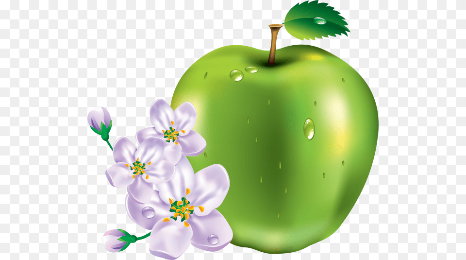 Apple Icon With Apple Flower Apple And Flower, Food, Fruit, Plant, Produce Free Png Download