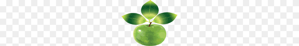 Apple Images, Food, Fruit, Leaf, Plant Free Png