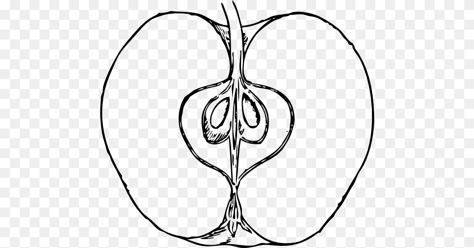 Apple In Cross Section Black White Line Art Coloring Book, Food, Fruit, Plant, Produce Free Transparent Png