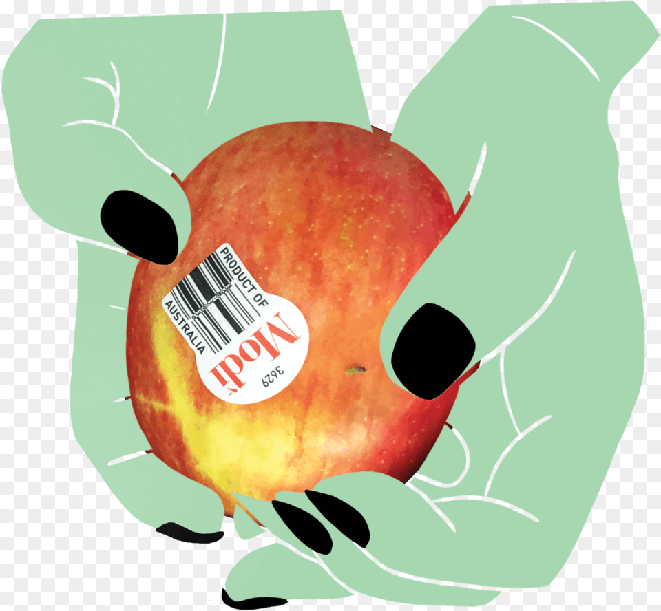 Apple In Hands, Food, Fruit, Plant, Produce Free Transparent Png