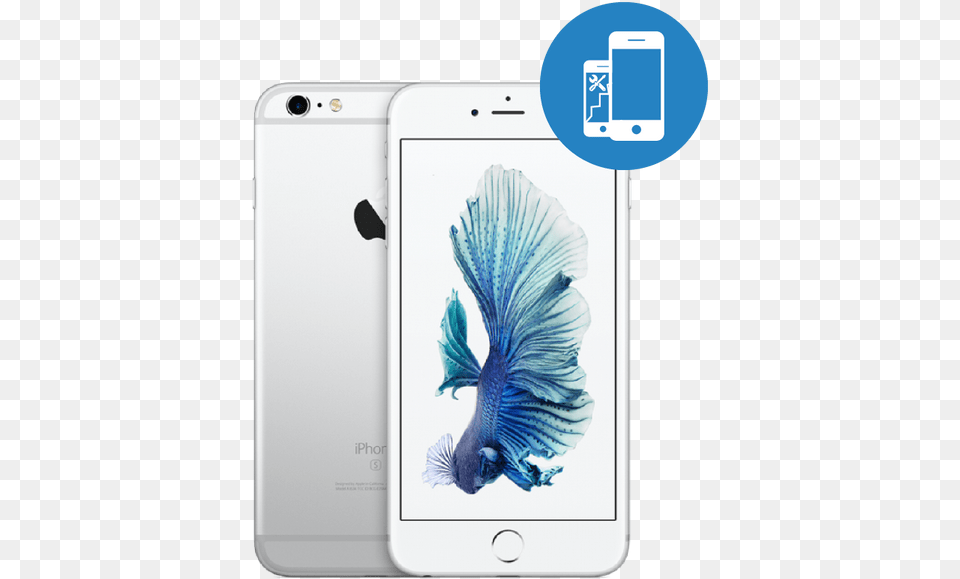 Apple Iphone 6s Plus 16gb Mku12 Silver Iphone 6s Colours, Electronics, Mobile Phone, Phone, Animal Png Image