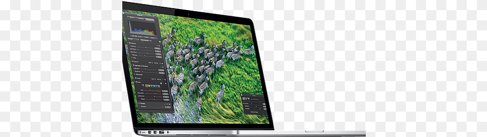 Apple Launches Macbook Pro With 2880 X 1800 Pixel U0027retina Apple Retina, Computer, Electronics, Animal, Wildlife Free Png Download