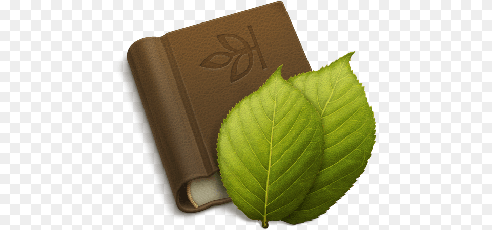 Apple Mac Ipad Iphone Tutorials From Family Tree Icon, Leaf, Plant, Diary, Text Free Png