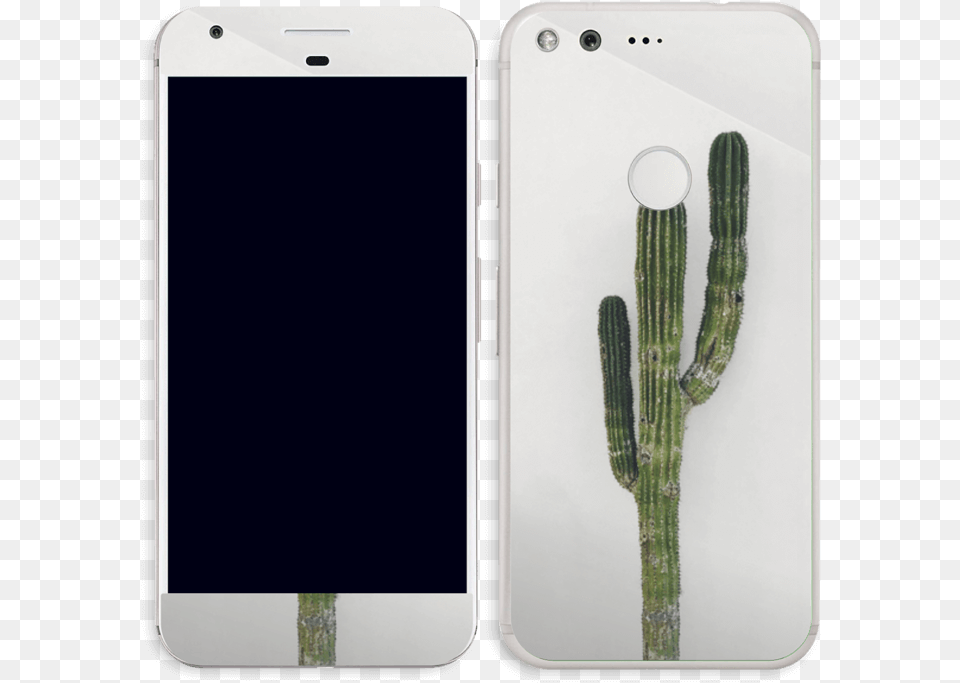 Apple Macbook Pro 790x800 San Pedro Cactus, Electronics, Mobile Phone, Phone, Plant Png