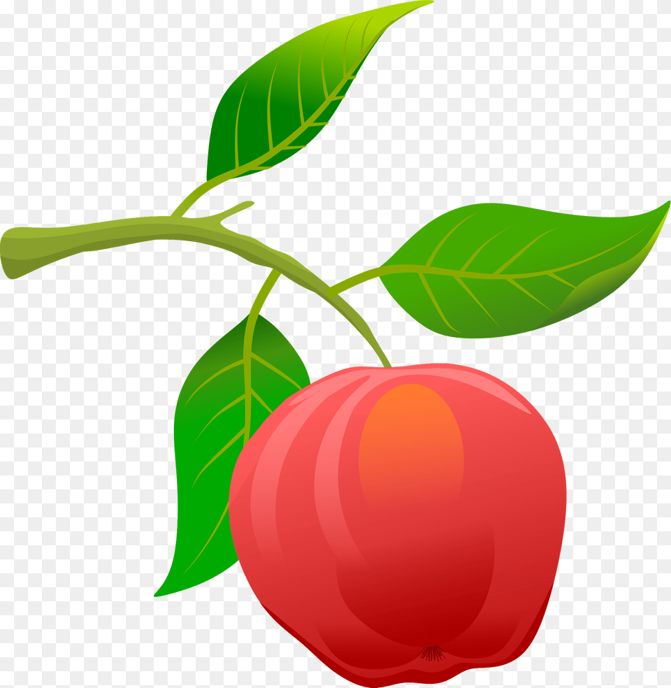 Apple On A Branch Clipart, Food, Fruit, Plant, Produce Free Transparent Png